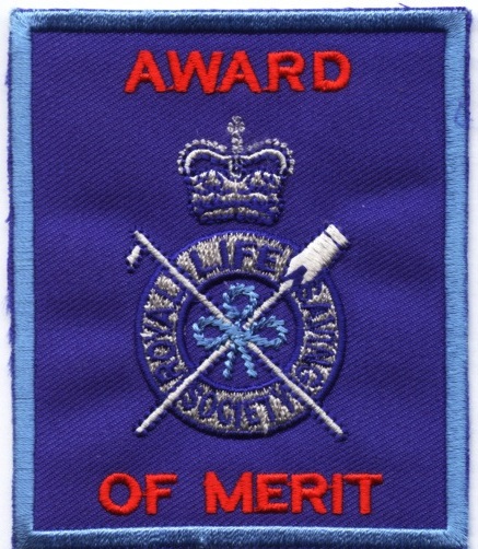 SLSS Award of Merit Badge