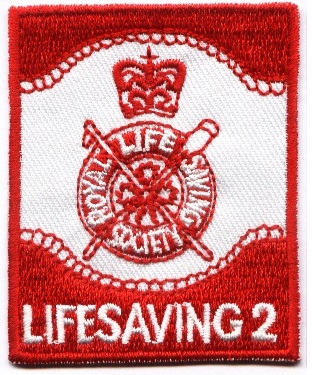 SLSS Lifesaving 2 Award Badge